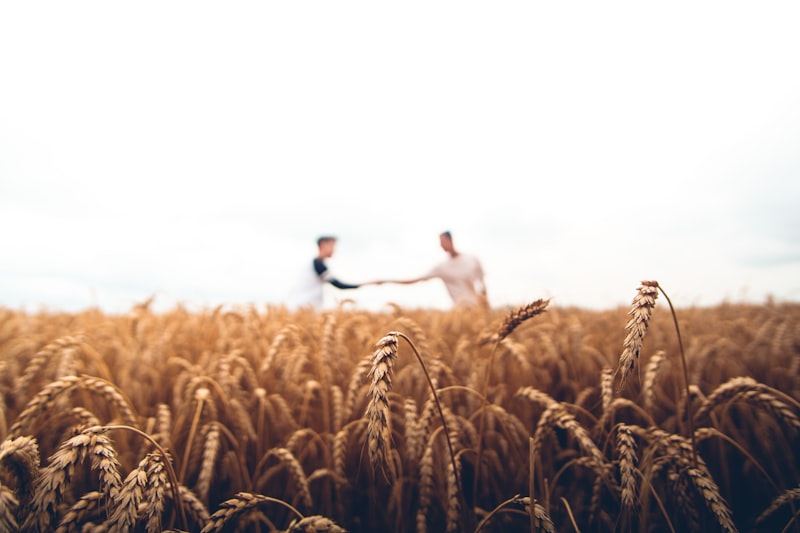 Sustainable responsible sourcing from Indian farms for Pannaiyar